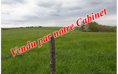 Terres agricoles – Secteur Castanet (12)