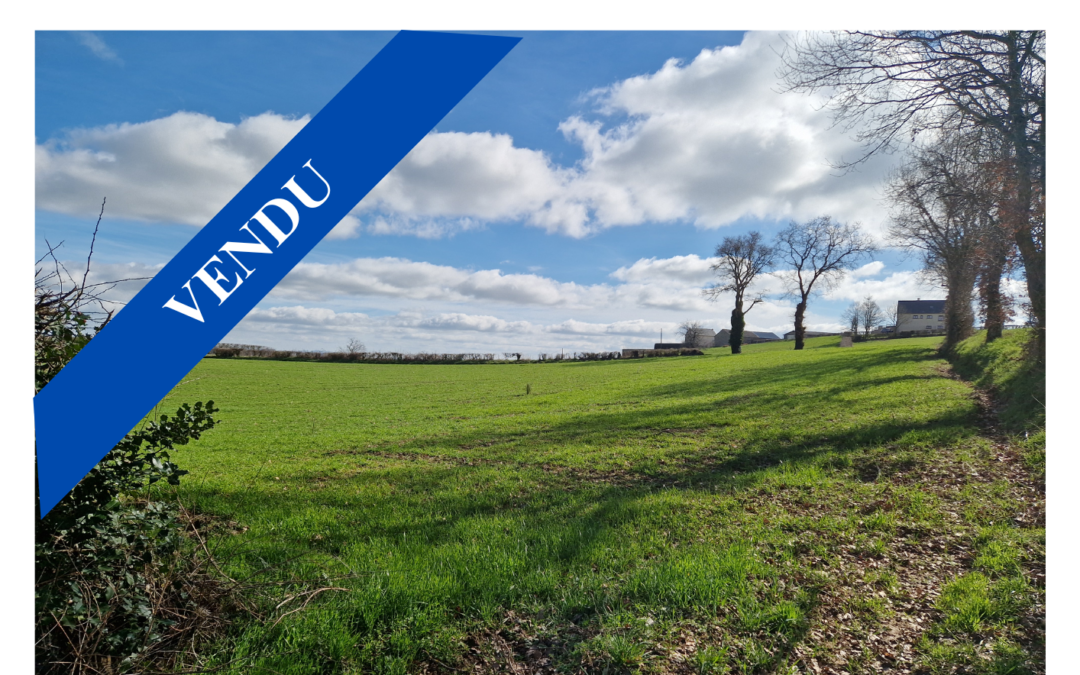 Parcelles rurales – Secteur CASTANET (12)