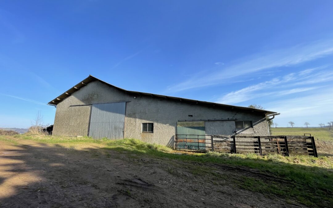 Propriété agricole – Secteur Leynhac (15)