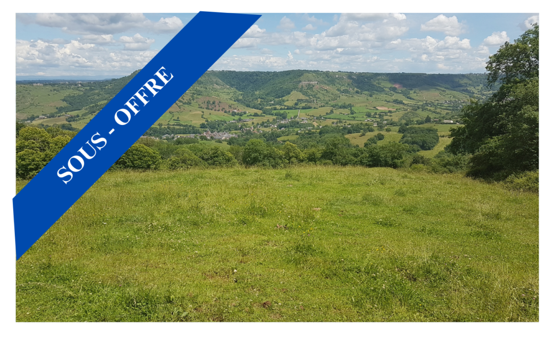 Parcelles agricoles – Secteur Clairvaux- d&rsquo;Aveyron (12)