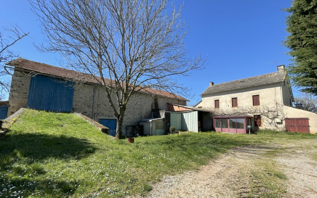Propriété agricole – Secteur Cabanès (12)